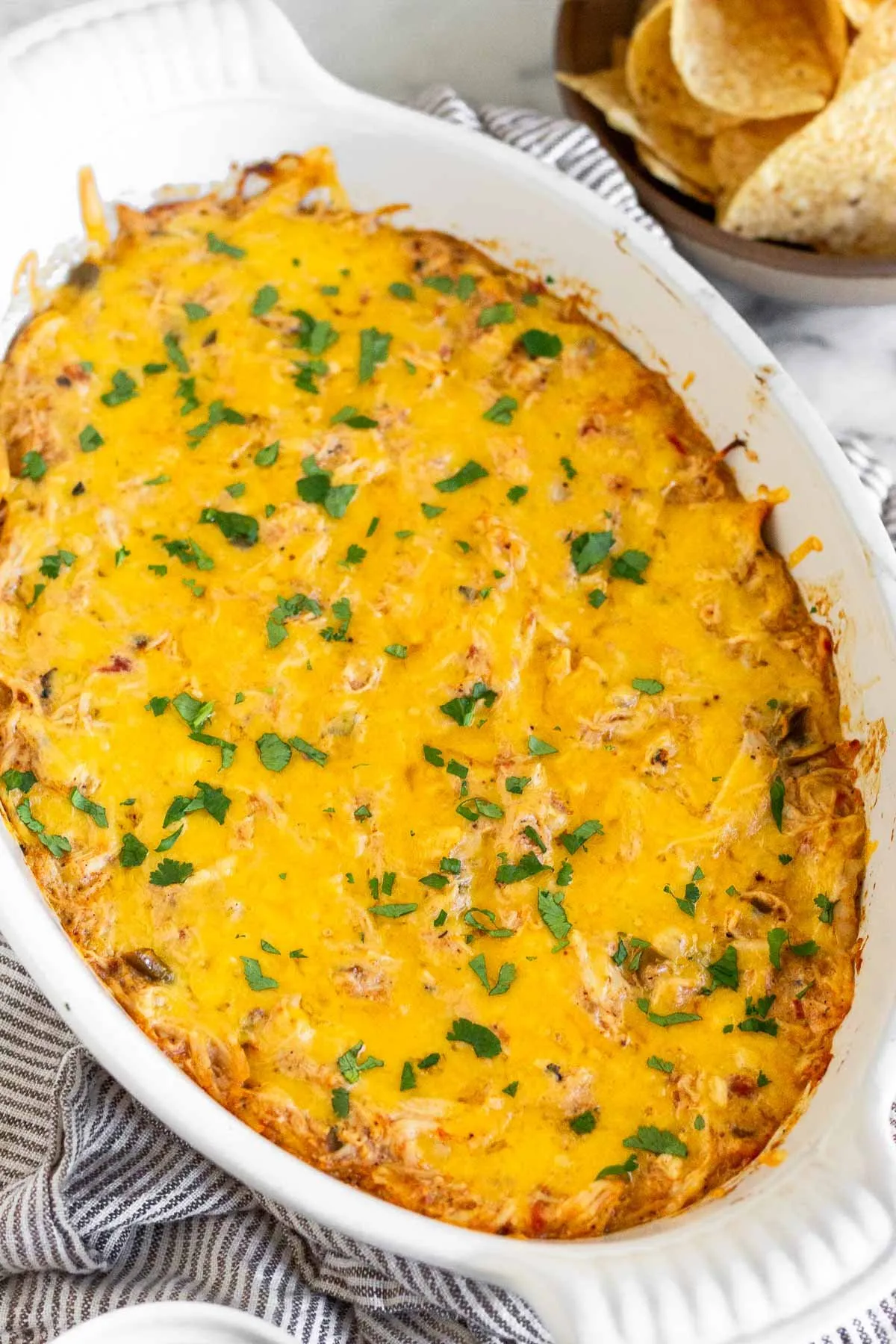 This shredded chicken dip is made with chicken, salsa, greek yogurt, taco seasoning, and cheese. It's ready in just 30 minutes for an easy, healthy, and absolutely delicious appetizer everyone will love! It's gluten-free and low-carb too.