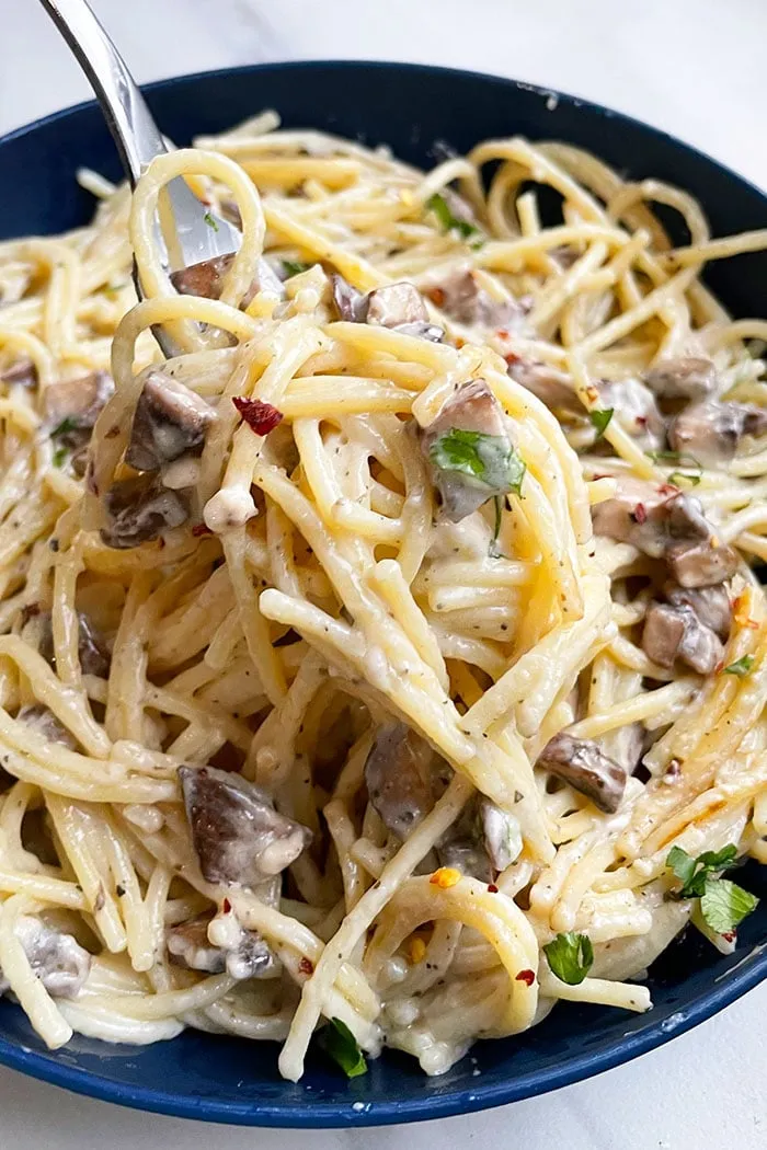 This slow cooker chicken and mushroom pasta is creamy, cozy, and packed with flavor. Tender chicken, sautéed mushrooms, and a rich alfredo-style sauce all simmer together with parmesan and Italian herbs for a dinner that feels special but is super easy to make. It’s one of those warm, hearty meals the whole family will happily gather around.